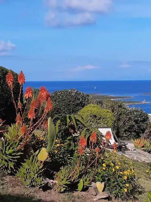 Panoramic Villa On Top Of Capo Falcone Stintino