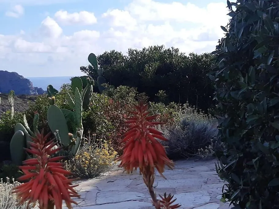 Panoramic Villa On Top Of Capo Falcone Stintino